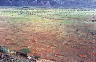 Os chamados círculos de fadas são áreas arredondadas sem vegetação que aparecem repetidamente em paisagens áridas. Vistos de cima, podem formar enormes padrões regulares no terreno. Apesar de décadas de pesquisas, sua origem ainda provoca discussão entre cientistas. �