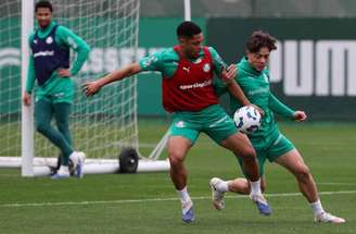 Cesar Greco/Palmeiras - Legenda: Palmeiras finalizou a preparação para duelo contra o Ceará