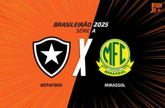 Botafogo vive instabilidade no Campeonato Brasileiro –