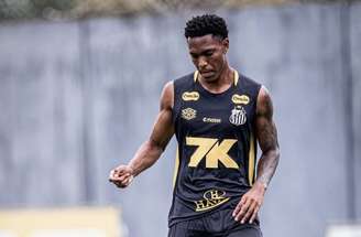 Luisão ainda não teve oportunidades com Vojvoda –