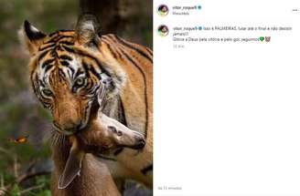 Vitor Roque fez post homofóbico após vitória do Palmeiras contra o São Paulo –