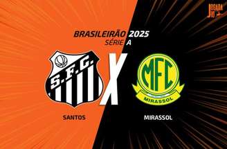 Santos conseguiu deixar a zona de rebaixamento na última rodada –