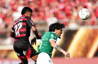 Mirassol fará sua estreia na Libertadores na temporada de 2026 –