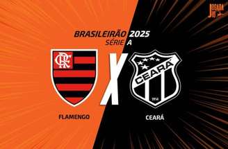 Flamengo procura conquistar o título do Brasileirão –