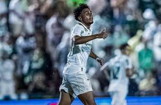 Jogadores do Palmeiras comemoram o gol de Luighi na vitória sobre a Portuguesa –