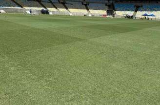 Processo de rebrota no gramado do Maracanã –