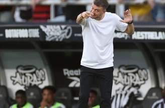 Botafogo perdeu para o Flamengo mas Anselmi vê evolução –