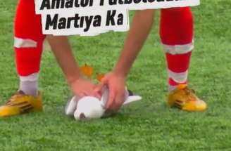 Jogador do Istambul Yurdum prestou primeiros socorros a uma gaivota atingida por uma bolada – Reprodução de video