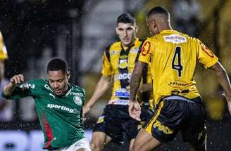 Palmeiras conquistou o Campeonato Paulista de 2026 –