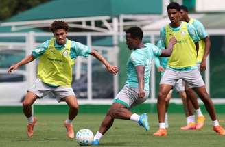 Jhon Arias deve figurar entre os relacionados do técnico Abel Ferreira para o jogo contra o Grêmio –