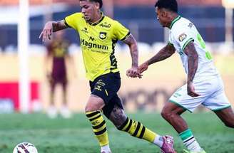De olho na Série A, São Bernardo não conseguiu cozinhar o Coelho –