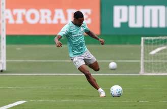 Allan é um dos destaques do Palmeiras –
