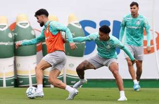 Palmeiras é líder do Grupo F da Libertadores –