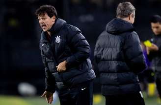 Diniz valoriza empate do Corinthians –