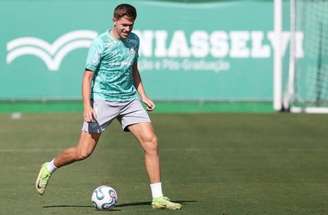 Palmeiras vive ótimo momento na temporada –
