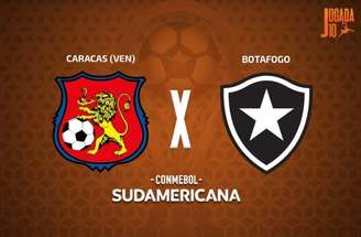 Botafogo tem campanha promissora na Sula –