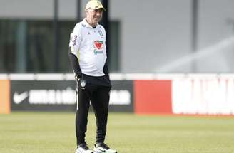 Torcedores acompanham treino da Seleção –