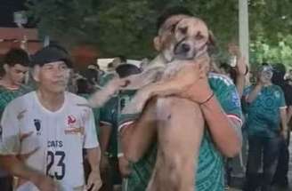 Família publicou o reencontro após reconhecer o animal nas imagens da festa –