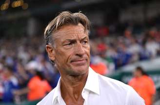 Renard teve passagem rápida pela Tunísia –