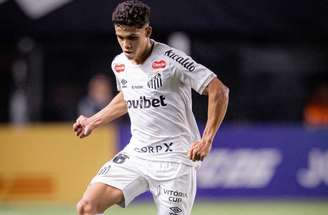 Gustavo Henrique vem sofrendo com lesões no Santos –