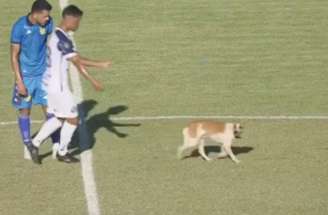 Craque! Com habilidade, imposição e velocidade, Zé Roberto foge da marcação –