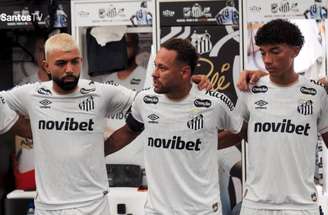 Craque pede união do grupo do Santos –