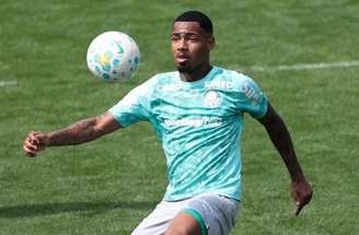 Palmeiras se prepara para enfrentar o Fluminense no Maracanã –