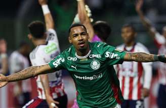 Allan em campo pelo Palmeiras pelo Brasileirão –