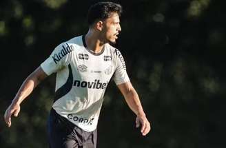 Cuca terá alguns desfalques contra o Internacional – Foto :Raul Baretta/ Santos