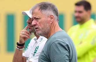 Palmeiras ficou no empate, sem gols, com o Botafogo, fora de casa –