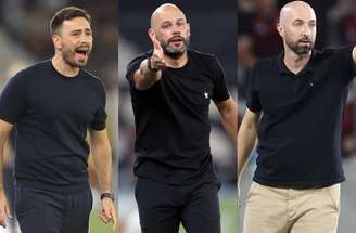 Bellão tem a missão de manter o Botafogo longe do perigo no Brasileirão –