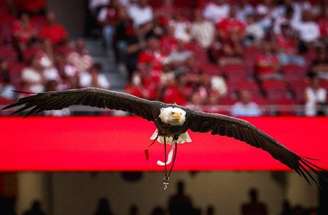 Águia Vitória sobrevoa o Estádio da Luz antes de todas as partidas do Benfica –