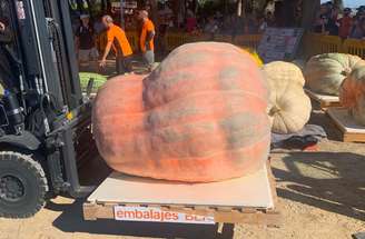 Abóbora
