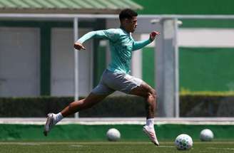 Palmeiras se prepara para o retorno do calendário após a Data Fifa –