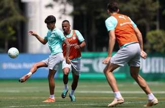 Palmeiras se prepara para a reta final da temporada –