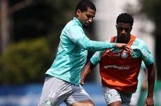 Palmeiras se prepara para a reta final da temporada –