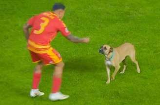 Após sair do gramado, o cão circulou no meio da torcida da Escócia – Reprodução de TV
