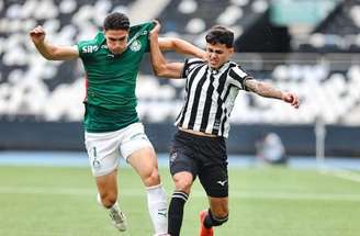 Botafogo não foi páreo para o Palmeiras –