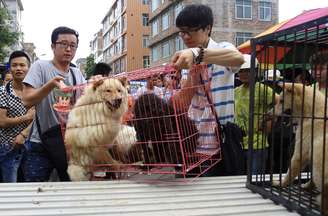 <p>Ativistas compram cães na tentativa de impedir que eles sejam adquiridos por pessoas que planejam abatê-los para o consumo durante o festival de Yulin, em 20 de junho </p>