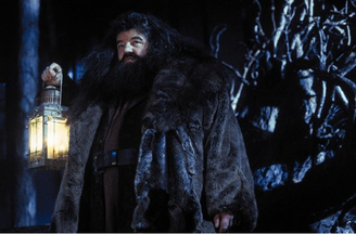 Rúbeo Hagrid, interpretado por Robbie Coltrane, não tem memórias felizes, segundo a autora britânica  J. K. Rowling