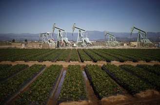 Bombas de petróleo ao lado de plantação de morangos em Oxnard, na Califórnia, Estados Unidos
24/02/2015
REUTERS/Lucy Nicholson 
