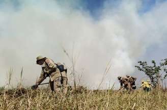 Bombeiros tentam apagar focos de incêndio no Pantanal.