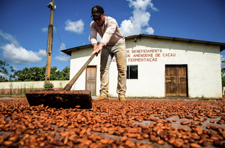 No Pará, mais de 2 mil produtores rurais são atendidos pelo Programa Territórios Sustentáveis (TS) em 43 municípios, com ações de fomento ao desenvolvimento socioeconômico. A iniciativa, gerida pela Secretaria de Estado de Meio Ambiente e Sustentabilidade do estado, é um exemplo local de transição para a economia de baixas emissões em áreas pressionadas pelo desmatamento.