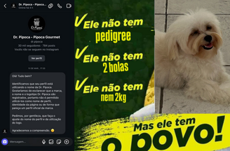 Após mensagem do perfil da pipoca gourmet, uma campanha a favor do cachorro se iniciou na internet