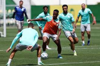 Palmeiras segue vivo em três competições na reta final da temporada –