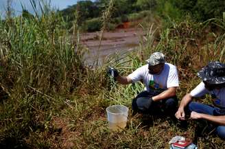 Membros do SOS Mata Atlântica coletam amostra de água do rio Paraopeba após desastre em Brumadinho (MG)
31/01/2019
REUTERS/Adriano Machado