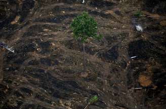 Foto aérea mostra área desmatada da Amazônia perto de Porto Velho
17/09/2019 REUTERS/Bruno Kelly 