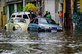 Chuva causa alagamento e queda de árvores em São Paulo neste sábado; vídeo 