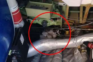 Gato se escondeu em compartimento elétrico de avião