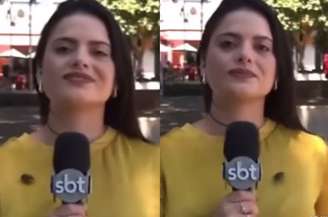 Repórter não percebeu inseto andando por sua roupa durante transmissão ao vivo